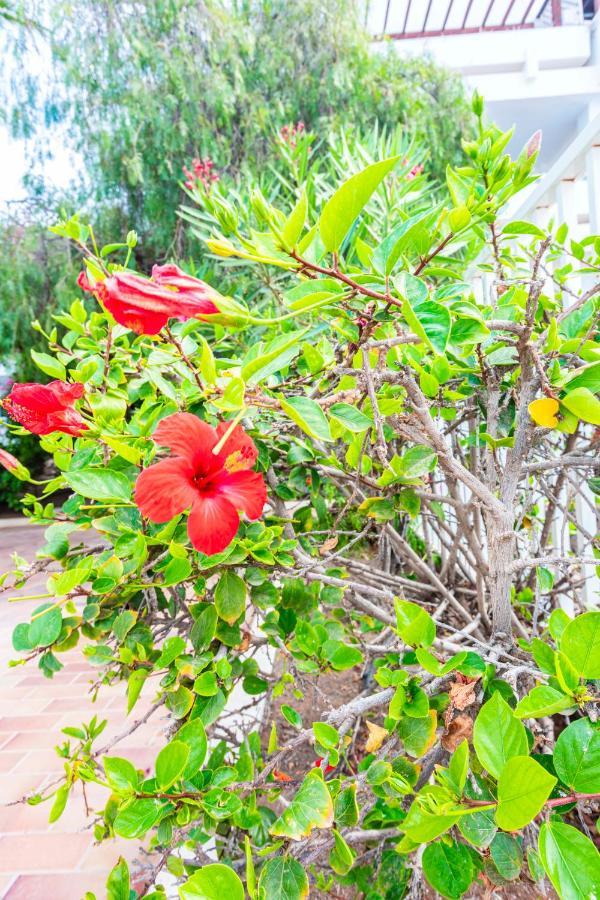 Vivienda Vacacional Sunny - Duplex Apartment 2Beds 2 Baths Costa Teguise Eksteriør billede